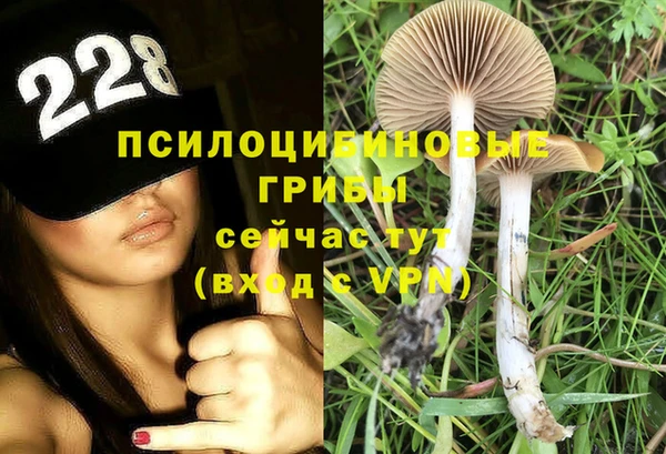 круглые Зеленокумск