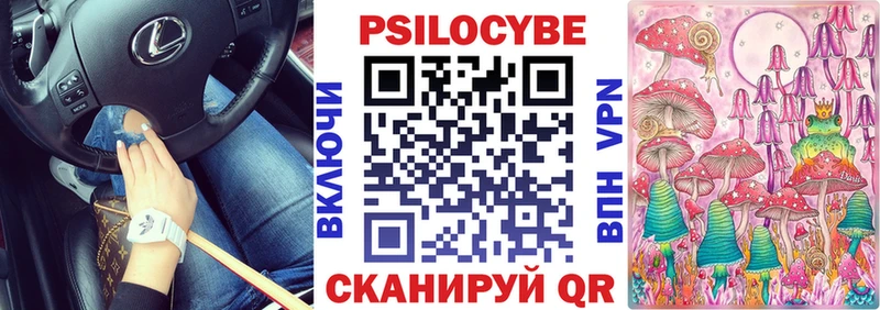 Псилоцибиновые грибы Psilocybine cubensis  omg сайт  Славгород 