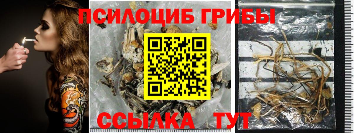 Славгород  Псилоцибиновые грибы MAGIC MUSHROOMS  Вход с VPN 