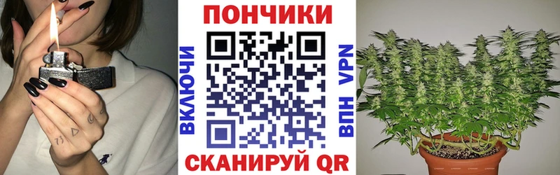 Бошки марихуана Bruce Banner Славгород